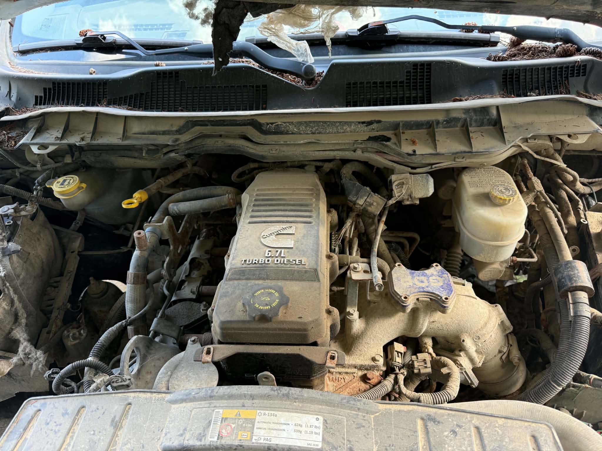 1267cummins